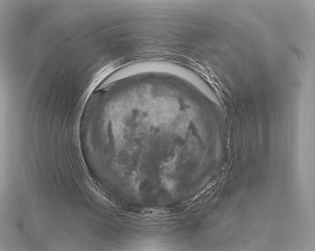 X0000115630099200912011449