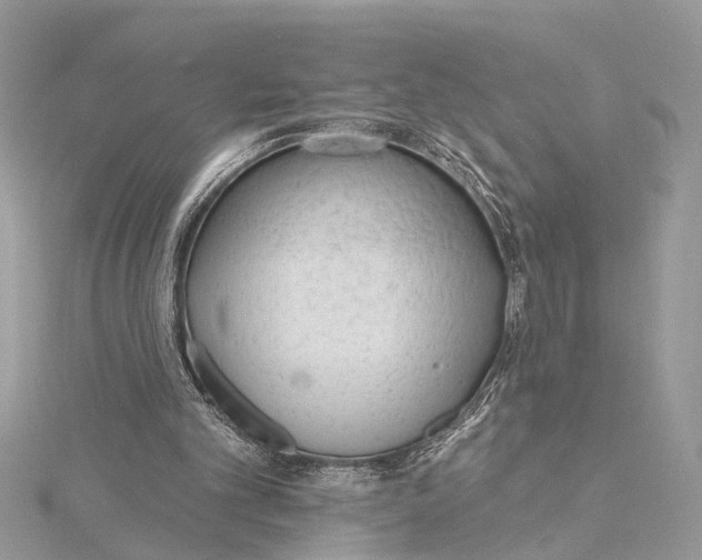 X0000115630101200912011449