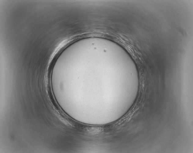 X0000115630102200912011449