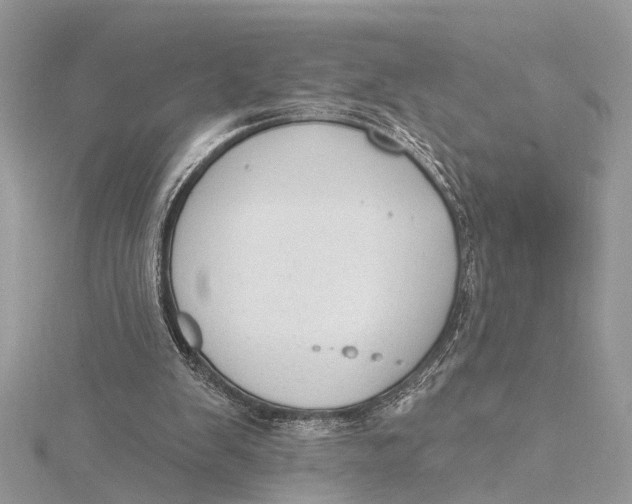 X0000115630103200912011449