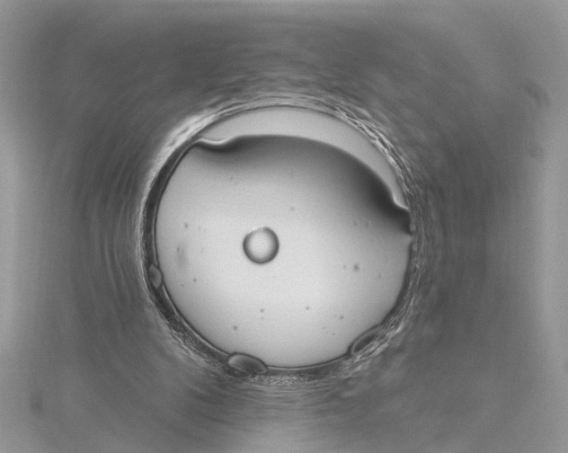 X0000115630104200912011449