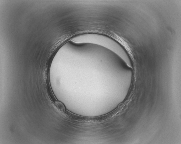 X0000115630105200912011449