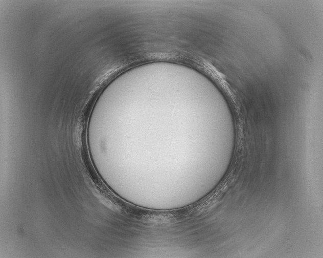 X0000115630106200912011449