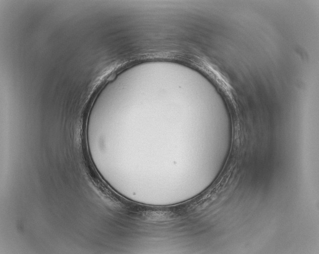 X0000115630107200912011449