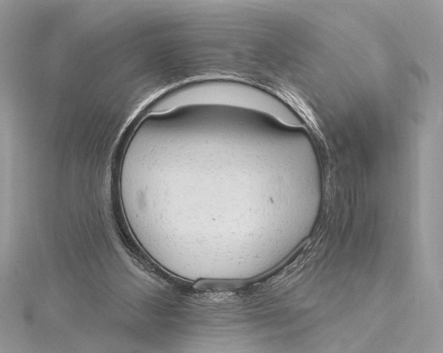 X0000115630108200912011449