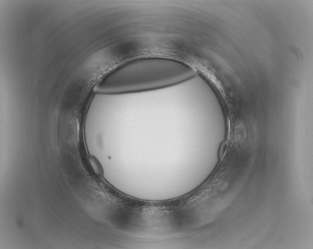 X0000115630109200912011449