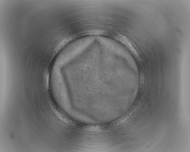 X0000115630110200912011449