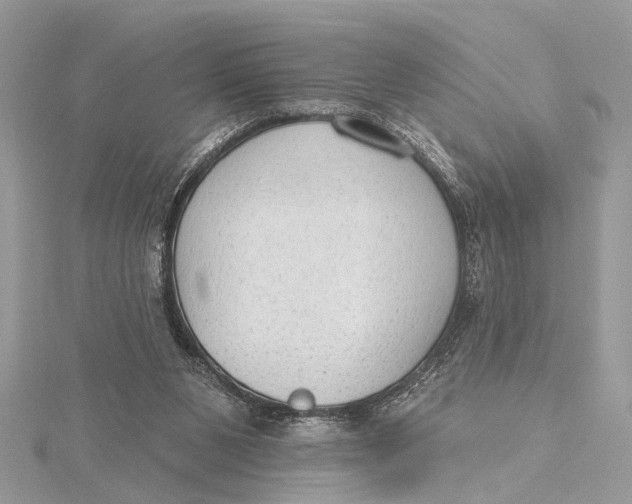 X0000115630111200912011449