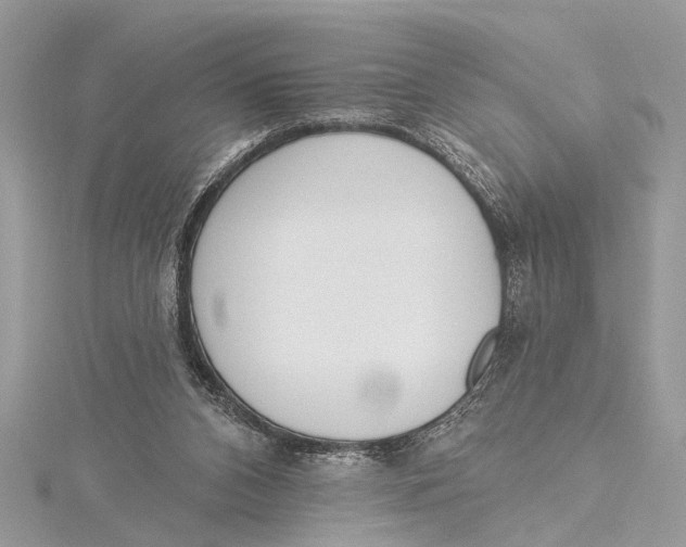 X0000115630112200912011449