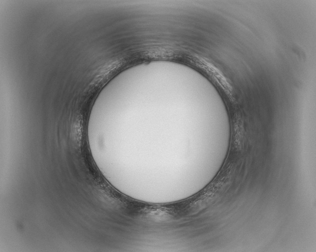 X0000115630113200912011449