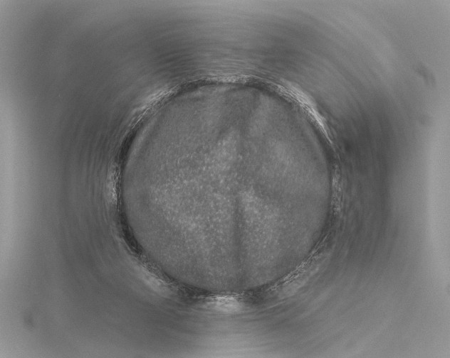 X0000115630114200912011449