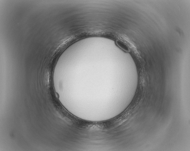 X0000115630115200912011449