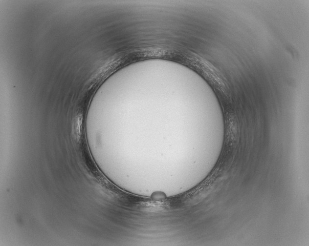 X0000115630118200912011449