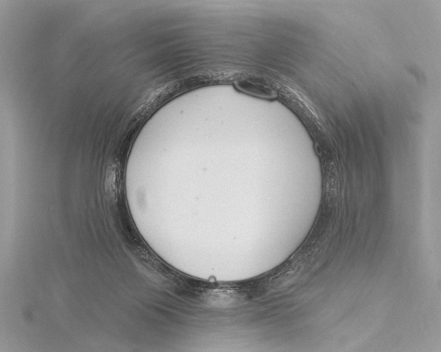 X0000115630119200912011449