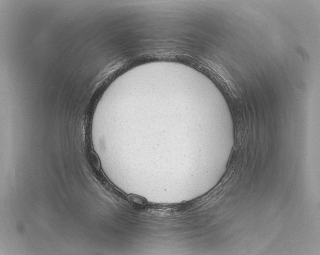 X0000115630120200912011449