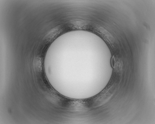 X0000115630121200912011448