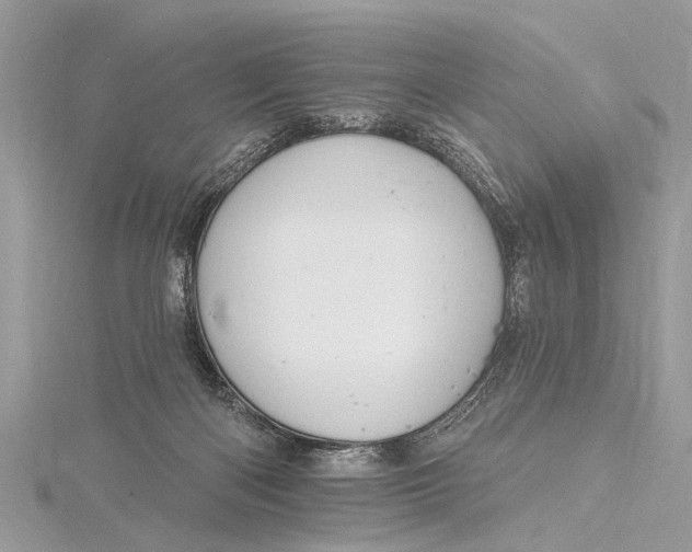 X0000115630122200912011448