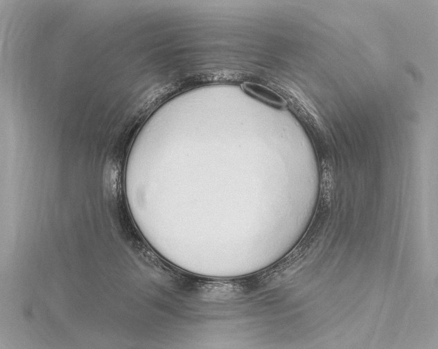 X0000115630123200912011448