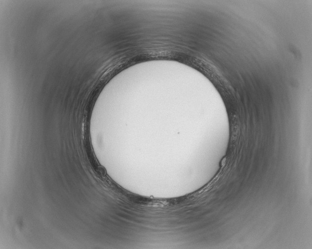 X0000115630124200912011448