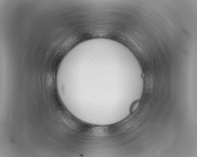 X0000115630126200912011448