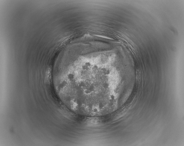 X0000115630127200912011448