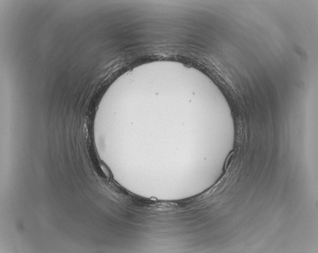 X0000115630128200912011448