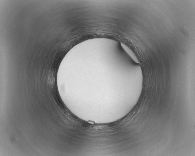 X0000115630129200912011448