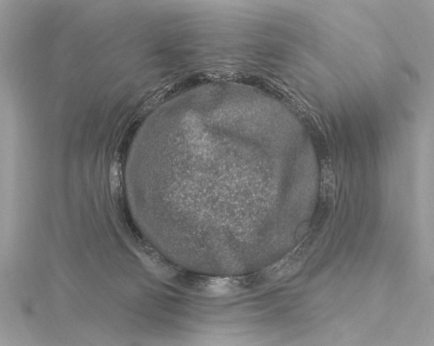 X0000115630130200912011448