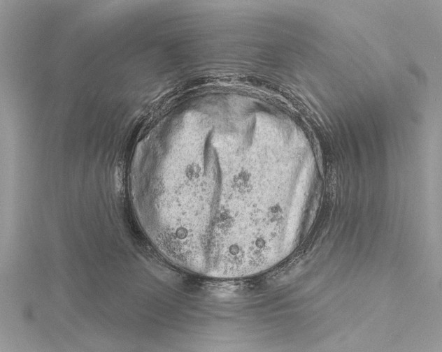 X0000115630131200912011448