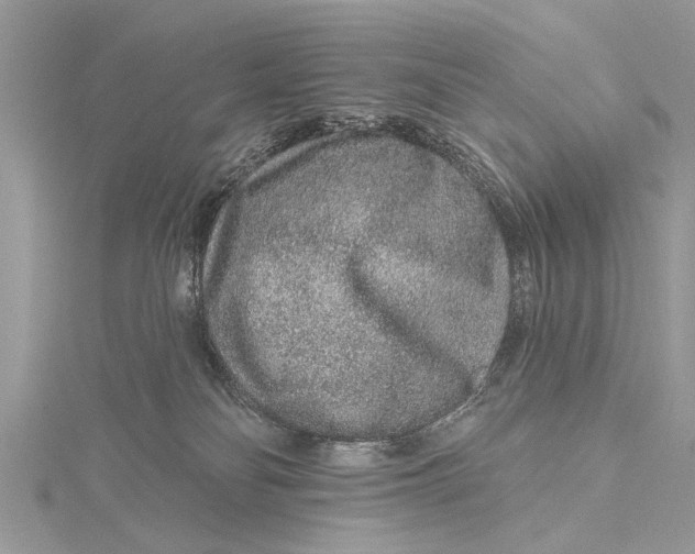 X0000115630134200912011448