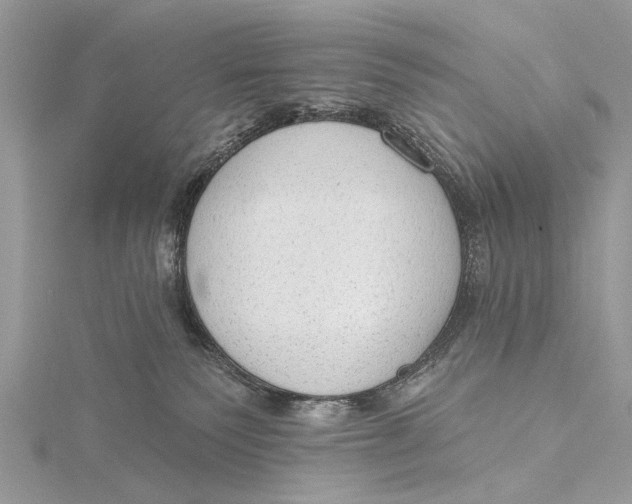 X0000115630135200912011448