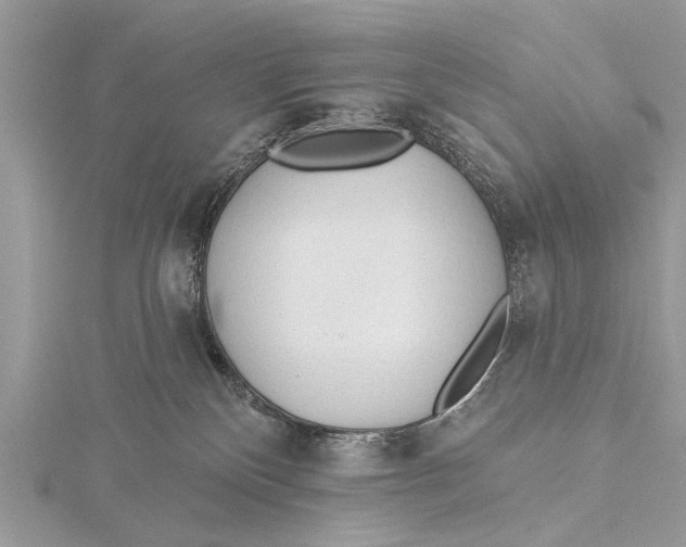 X0000115630136200912011448