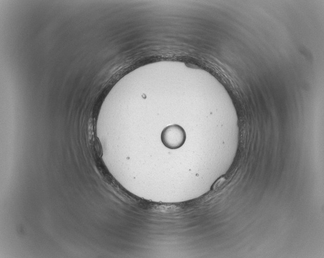 X0000115630137200912011448