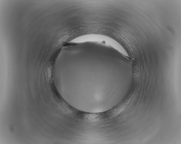 X0000115630139200912011448