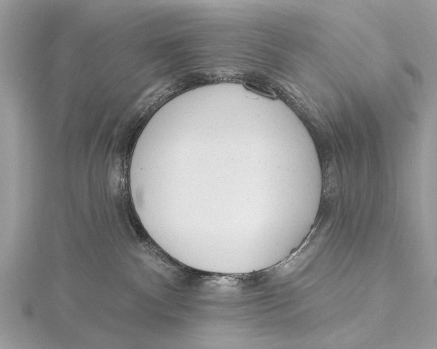 X0000115630140200912011448