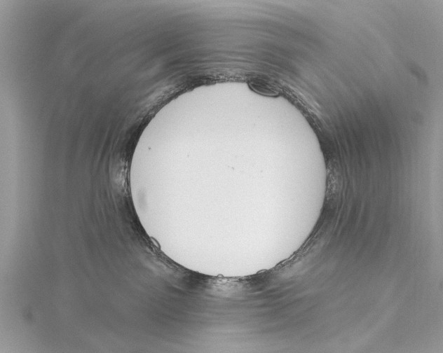 X0000115630141200912011448