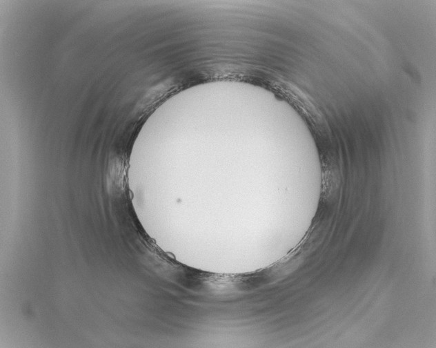 X0000115630142200912011448