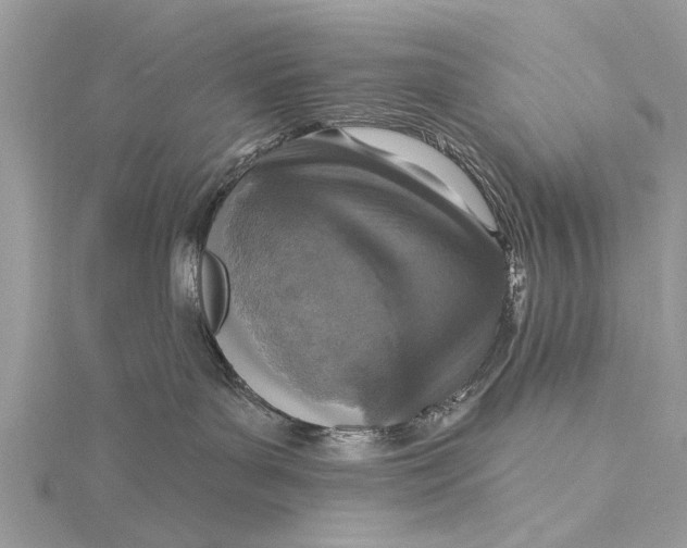 X0000115630143200912011448