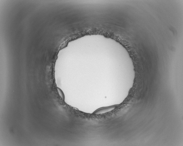 X0000115630144200912011448