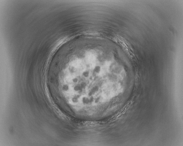 X0000115630145200912011448