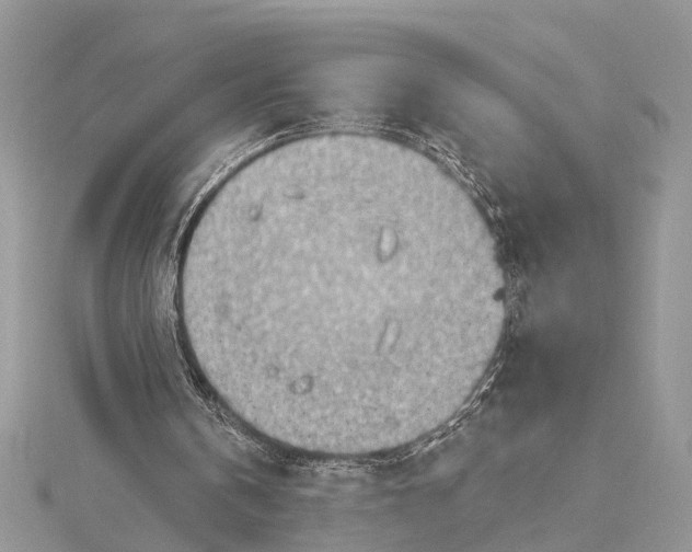 X0000115630146200912011448