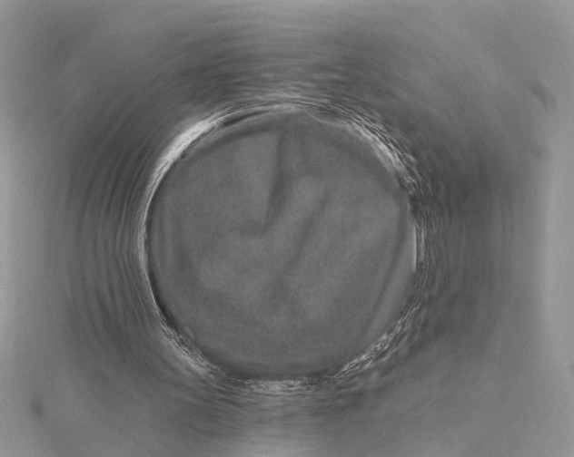 X0000115630147200912011448