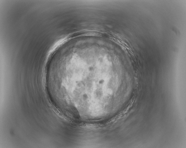 X0000115630149200912011448