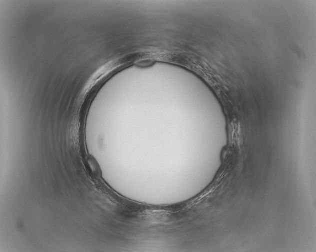 X0000115630150200912011448