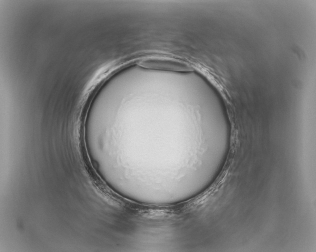 X0000115630151200912011448