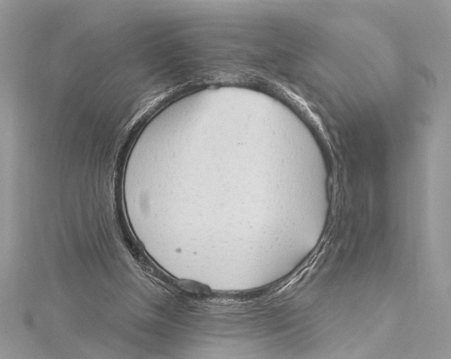 X0000115630154200912011448