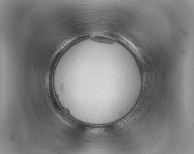 X0000115630155200912011448