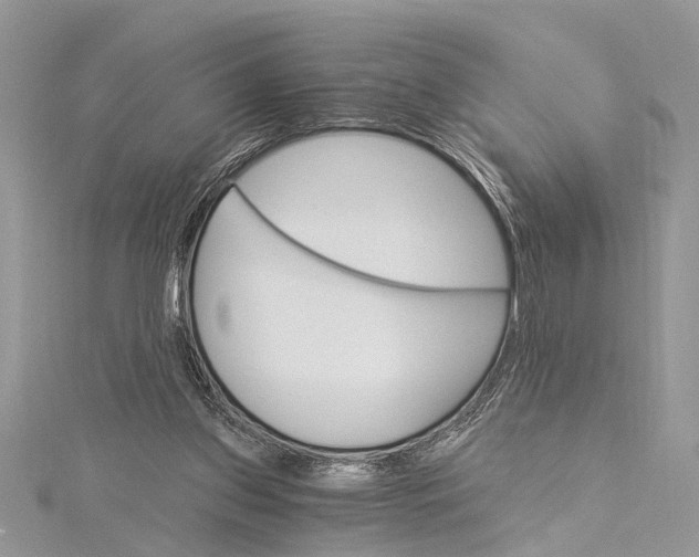 X0000115630157200912011448