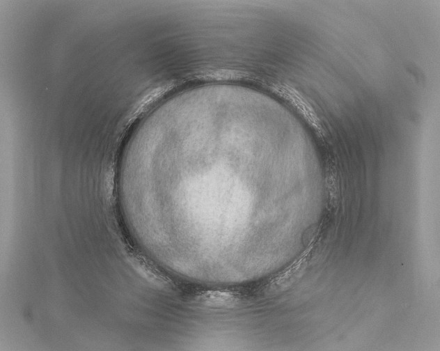 X0000115630159200912011448