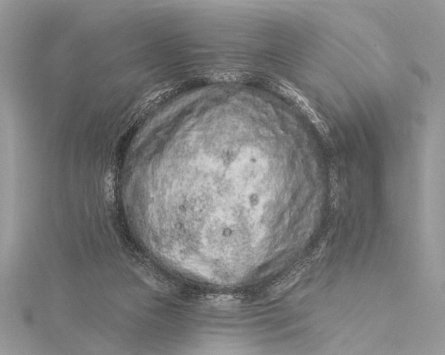 X0000115630161200912011448